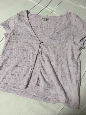 American Eagle Outfitters Never Worn Lavender Textured Button-Front Crop Top